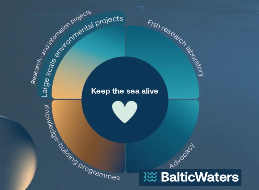 BalticWaters är en stiftelse med ett enda mål: att hålla vårt hav levande.