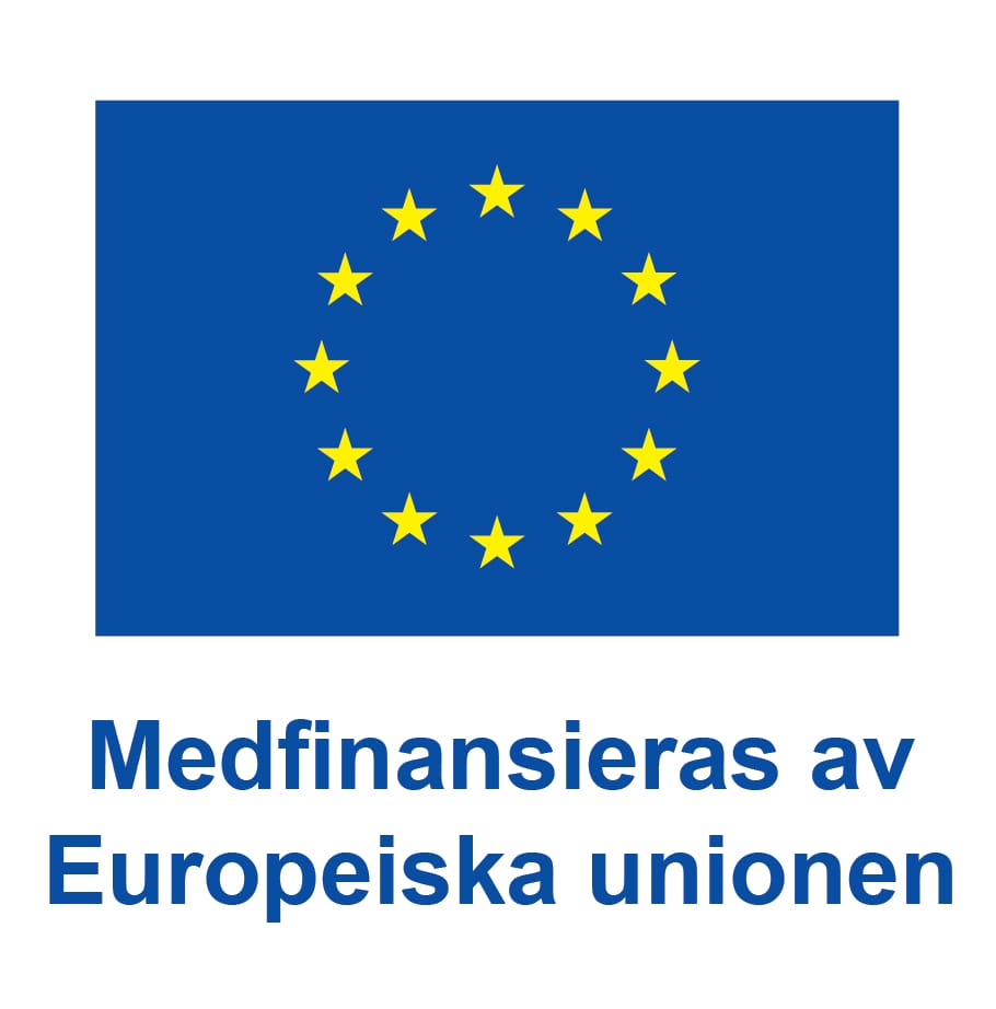EU logo-standard. Medfinansieras av Europeiska unionen