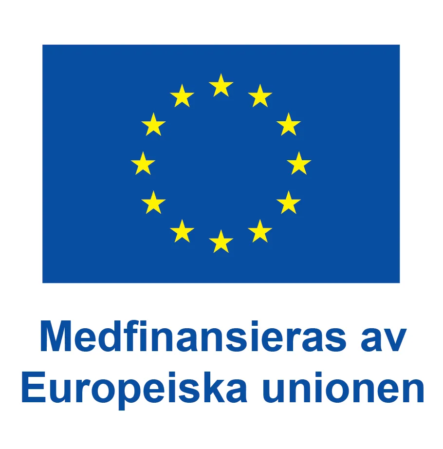 EU logo-standard. Medfinansieras av Europeiska unionen